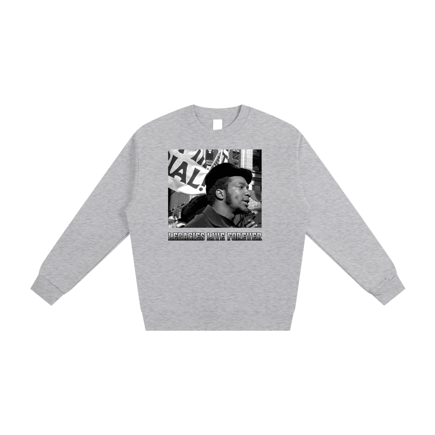 panthers